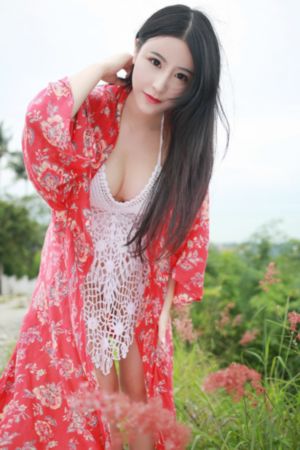 血战丛林_DVDHD高清在线观看